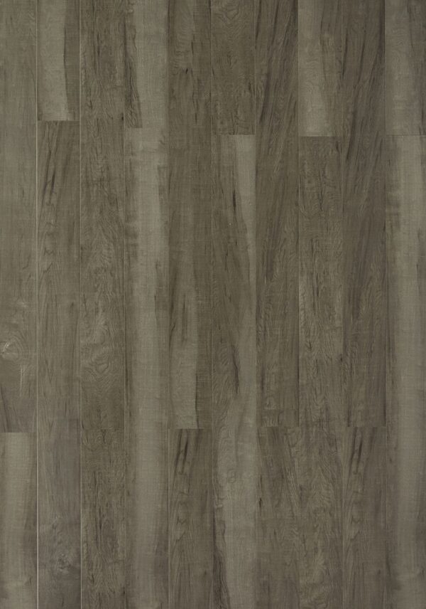 TF 2501 Toucan 12mm laminate