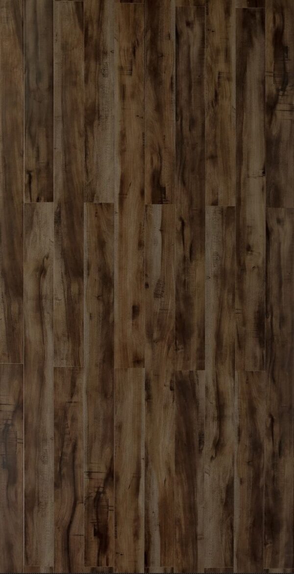 TF 2504 Toucan 12mm Laminate