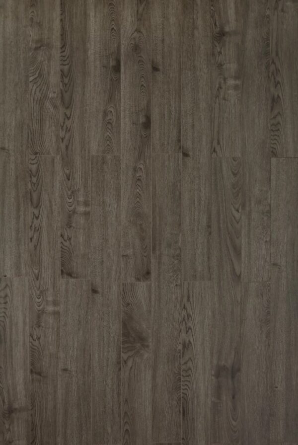 TF3104 Toucan 12mm Laminate
