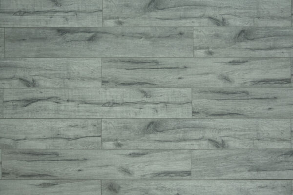 TF6008-F Toucan 12mm Laminate