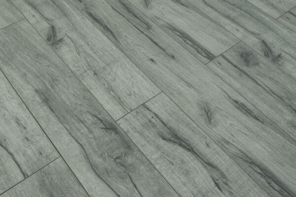 TF6008-F Toucan 12mm Laminate - Image 2