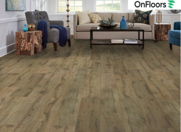 TF 6010 Toucan 12mm Laminate - Image 2