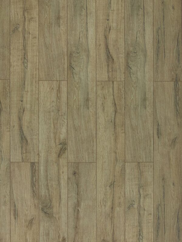 TF 6010 Toucan 12mm Laminate
