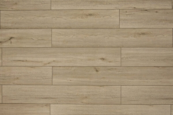 TF 6202 Toucan 12 Laminate