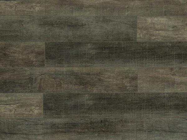 TF 6211-F Toucan 12mm Laminate