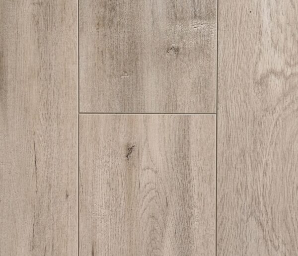 TF 6302 Toucan 12mm Laminate