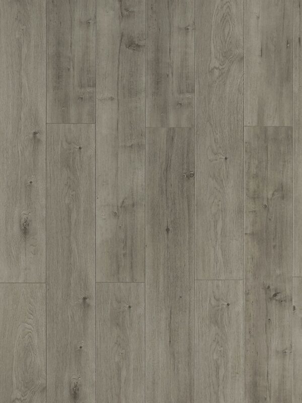 TF 6303 Toucan 12mm laminate