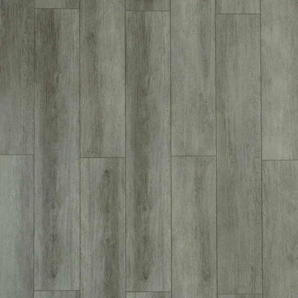 TF 6306 Toucan 12mm Laminate - Image 2