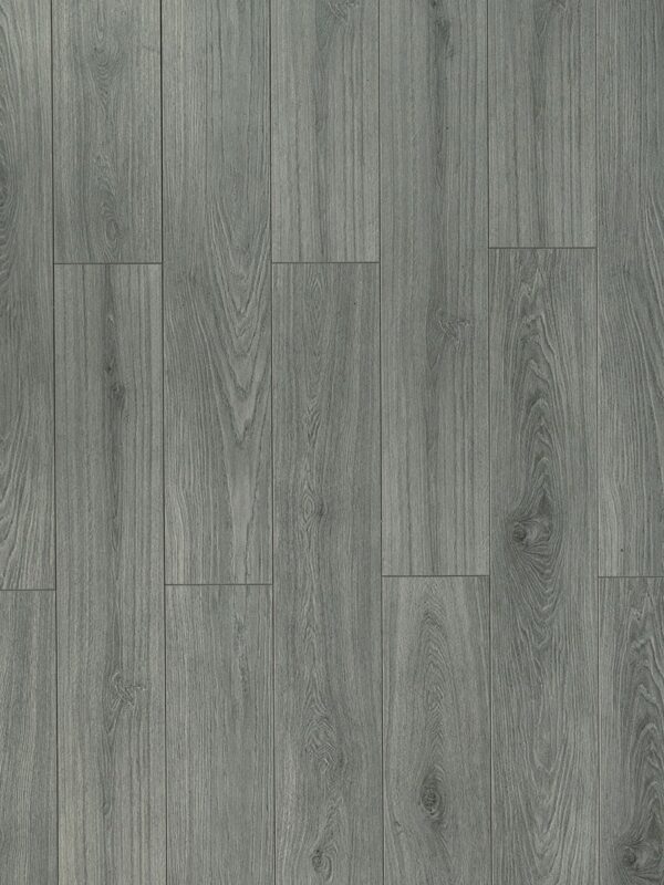 TF 6310 Toucan 12mm Laminate