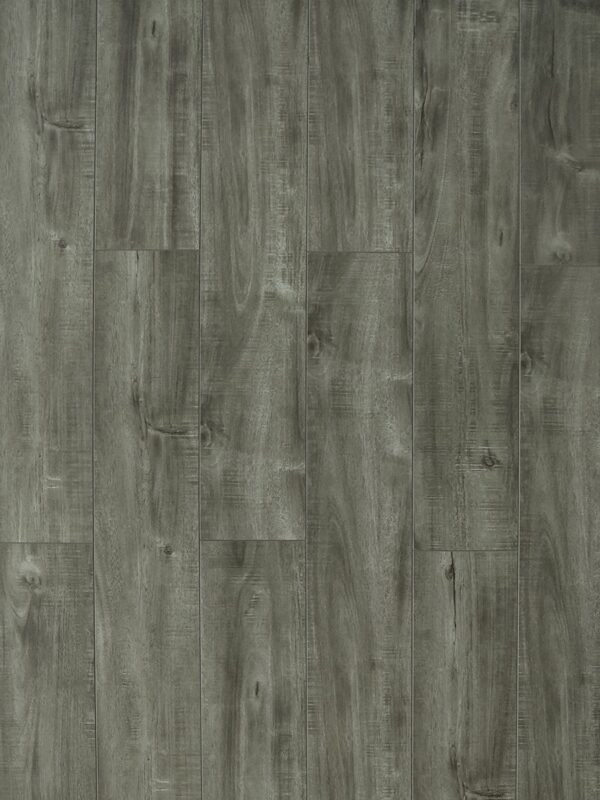 TF 6313 Toucan 12mm Laminate