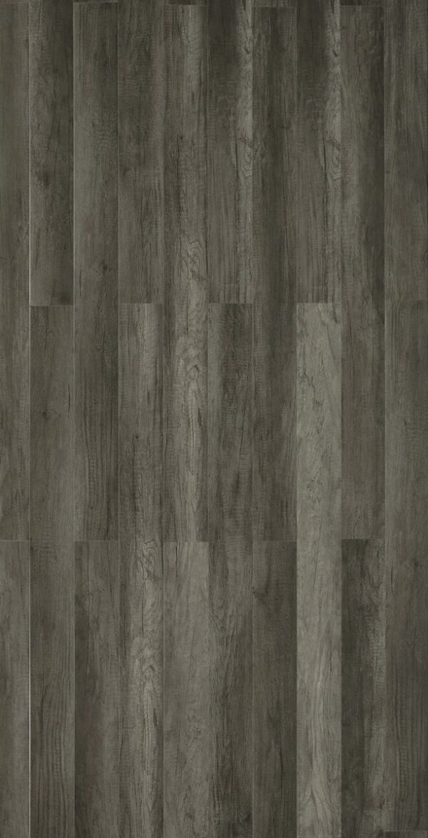 TF2502 Toucan 12mm Laminate
