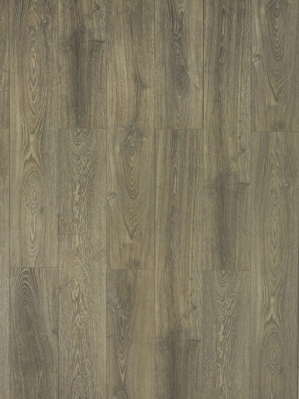 TF 6003 Toucan 12mm Laminate