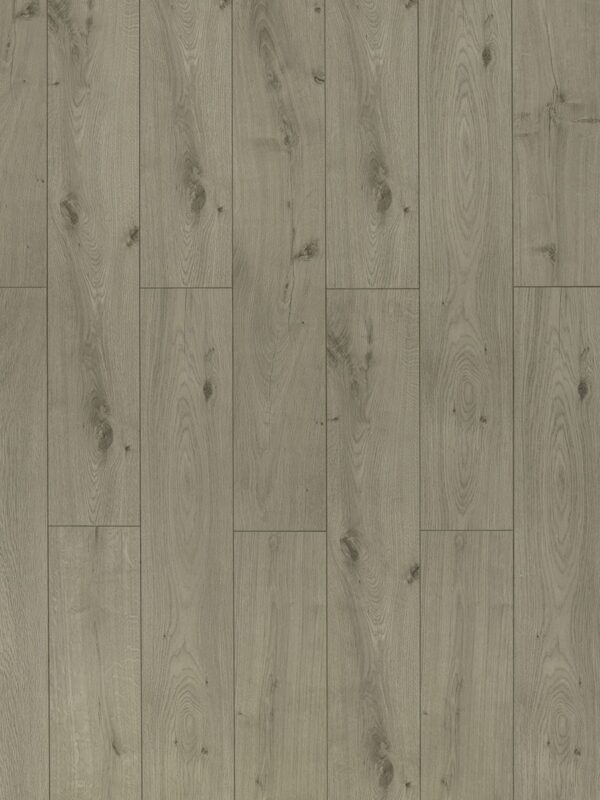 TF 6019 Toucan 12mm Laminate