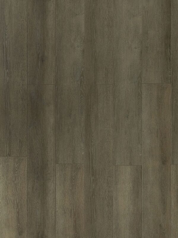 TF 6305 Toucan 12mm Laminate