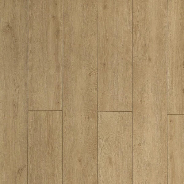 TF 6307 Toucan 12mm Laminate