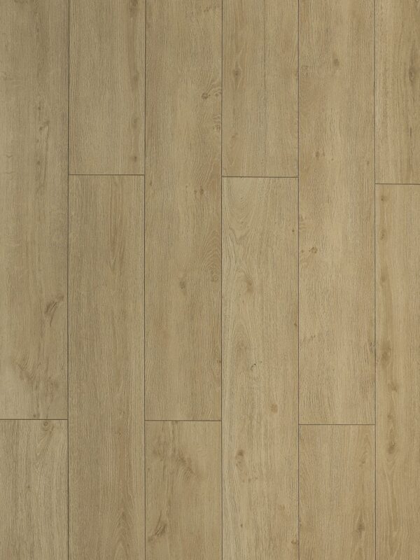 TF 6307 Toucan 12mm Laminate