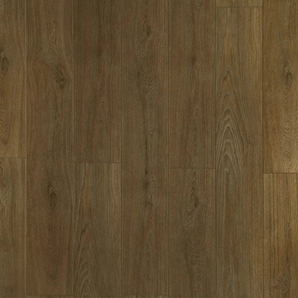TF 6308 Toucan 12mm Laminate