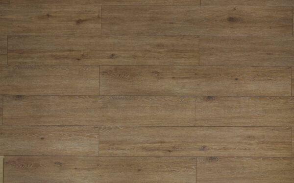TF 6312 Toucan 12mm laminate - Image 2