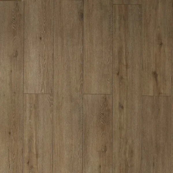 TF 6312 Toucan 12mm laminate