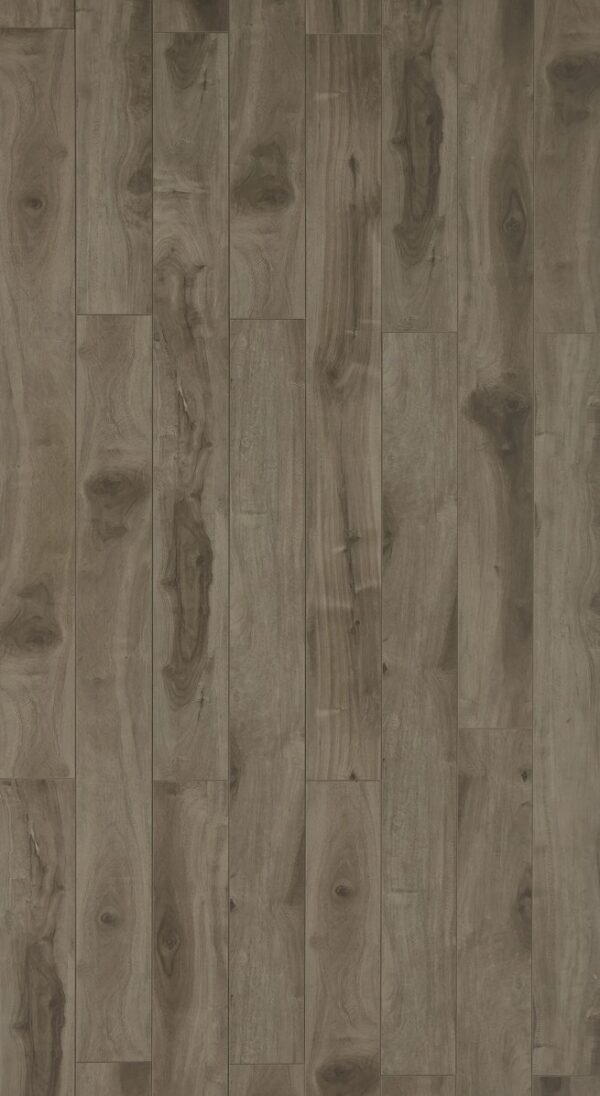 TF 3105 Toucan 12mm Laminate